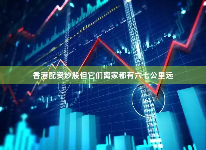 香港配资炒股但它们离家都有六七公里远