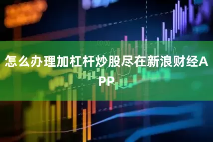 怎么办理加杠杆炒股尽在新浪财经APP