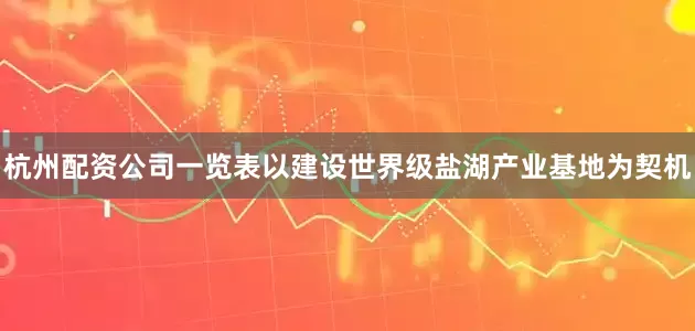 杭州配资公司一览表以建设世界级盐湖产业基地为契机