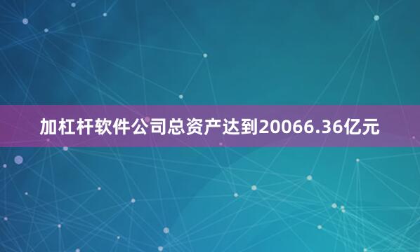 加杠杆软件公司总资产达到20066.36亿元