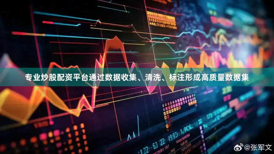 专业炒股配资平台通过数据收集、清洗、标注形成高质量数据集