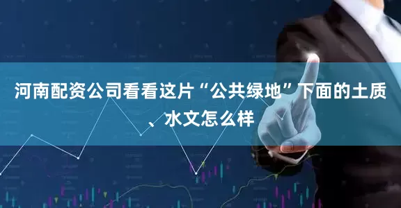 河南配资公司看看这片“公共绿地”下面的土质、水文怎么样